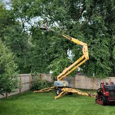 Leaf Removal in New Bremen, OH